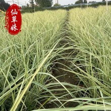 �^�p�ݻ���ֱ�N���~â ���~â ���~â��ư� ����â ˮ������