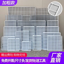 �WƬ�W��չʾ���F�W��������ܰ�ɫ�W���F�z�W�����׃��@��Ʒ�젝