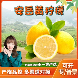 代用/养生茶;花果茶;西式糕点