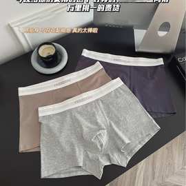 646#简约裤衩小黑盒棉裤男士内裤中腰平角裤舒柔透气档无痕批发