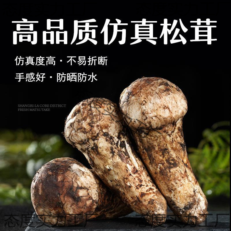 松茸模型仿真蘑菇模型摆件道具玩具雕塑仿真食物模型野生菌模型