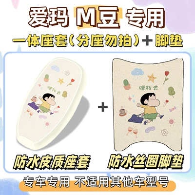 foot mats, Electric vehicle foot mat - waterproof-combo-yb-make-money-emma-m-bean
