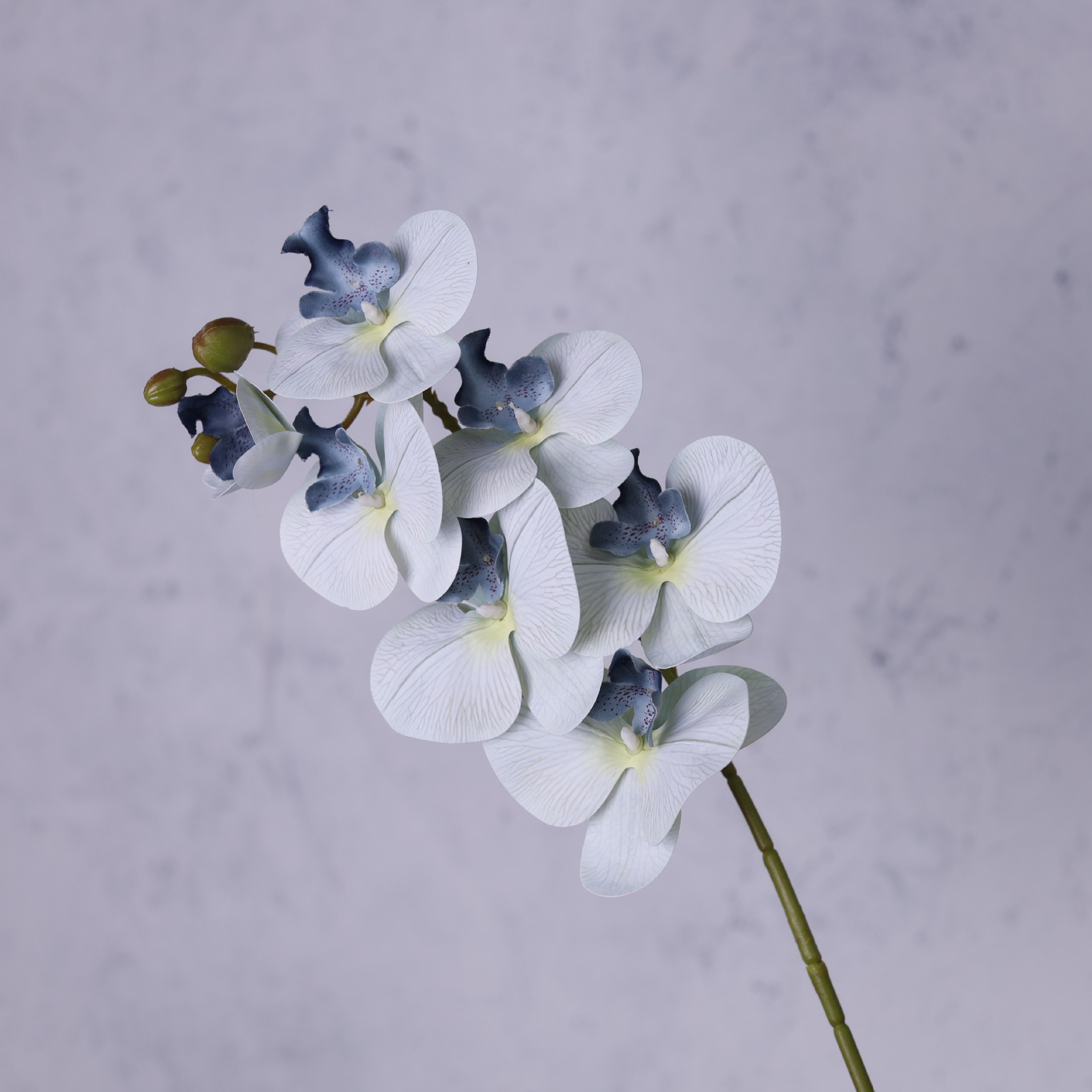 Impresión 3D de 7 cabezas de orquídeas mariposa flor de decoración de flores de alto nivel flor de nicho decoración floral decoración de sala de estar