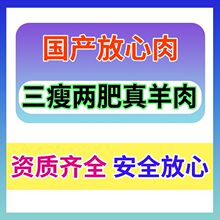 【批发】烧烤食材腌制羊肉串半成品户外大串烤串半成品烧烤羊肉串