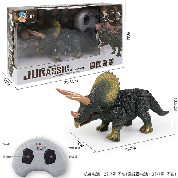 Remote control triangular dragon