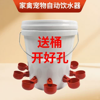 养鸡用自动饮水器鸡鸭鹅饮水碗小鸡鸟家禽鸽子喝水壶喂鸡懒人神器