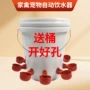 养鸡自动家禽小鸡饮水碗