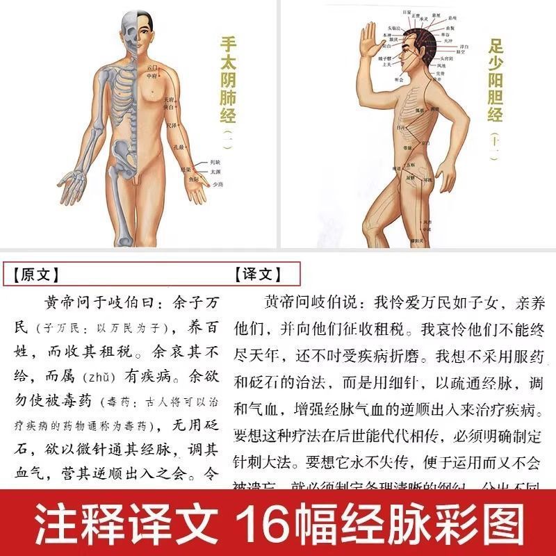 正版の全2冊の黄帝内経の完全版は厚くて大きくて本の霊枢篇の素問篇の漢方医の基礎の理論の本を開きます。|undefined