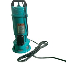 潜水泵家用浇水泵小型高扬程抽水农用灌溉污水泵220V