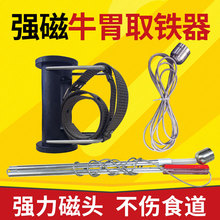 p^ȡţθȡFȡȡţBֳO