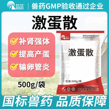 蛋多多增蛋宝兽用激蛋散兽药输卵管病蛋鸡卵管康提高产蛋下蛋专用