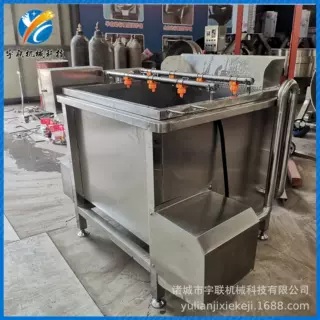 宇联果蔬冲洗机 商超专用小型喷淋式土瓜果蔬菜清洗机 药材清洗机