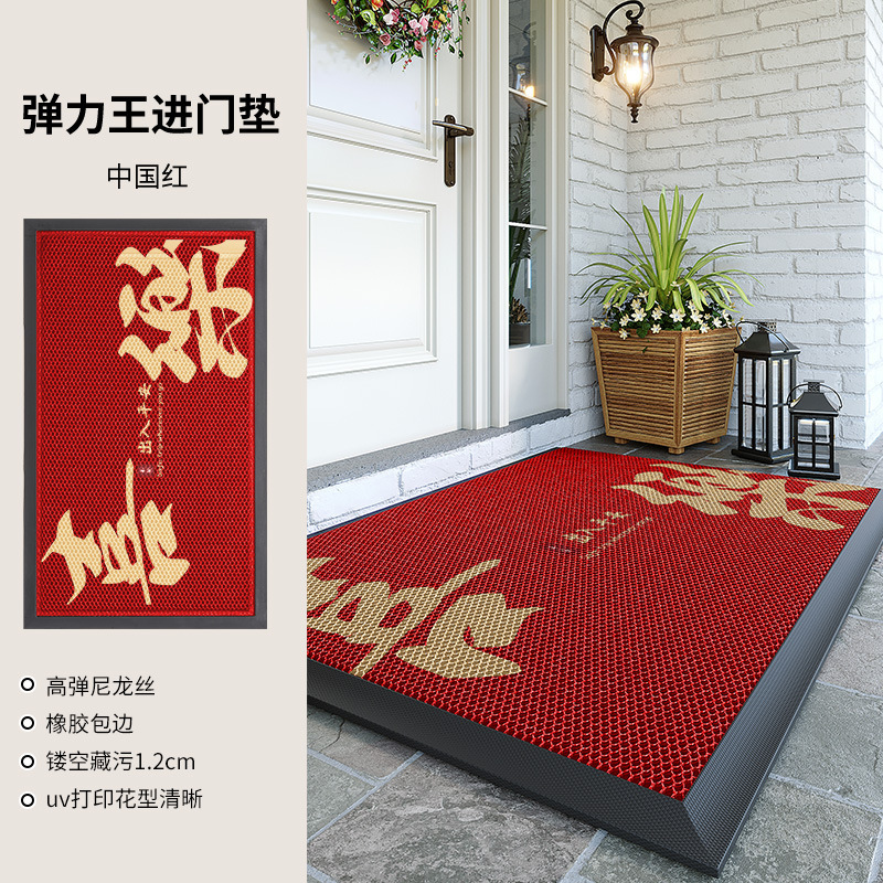 跨境入户门地垫高级感进门耐脏防滑脚垫家用门口免洗地毯室外防水|undefined