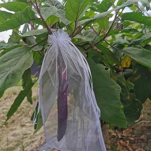 In-Stock Quick-Release Fruit Bags, Anti-Bird Net Bags, Insect-Proof Bags for Melons and Fruits, Bags for Figs, Loquats, Grapes, Peaches, and Strawberries