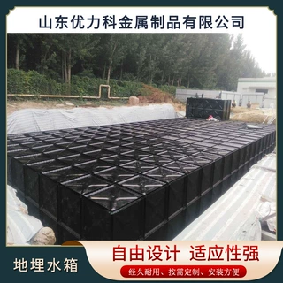 厂家加工定制BDF地埋水箱 抗浮地埋式一体化消防泵站消防供水设备