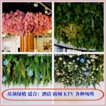 �҃ȾW�컨�ٗl���ϼ��bֲܛ����컨��G�~픲�ֲ���쾰�t�b�b�