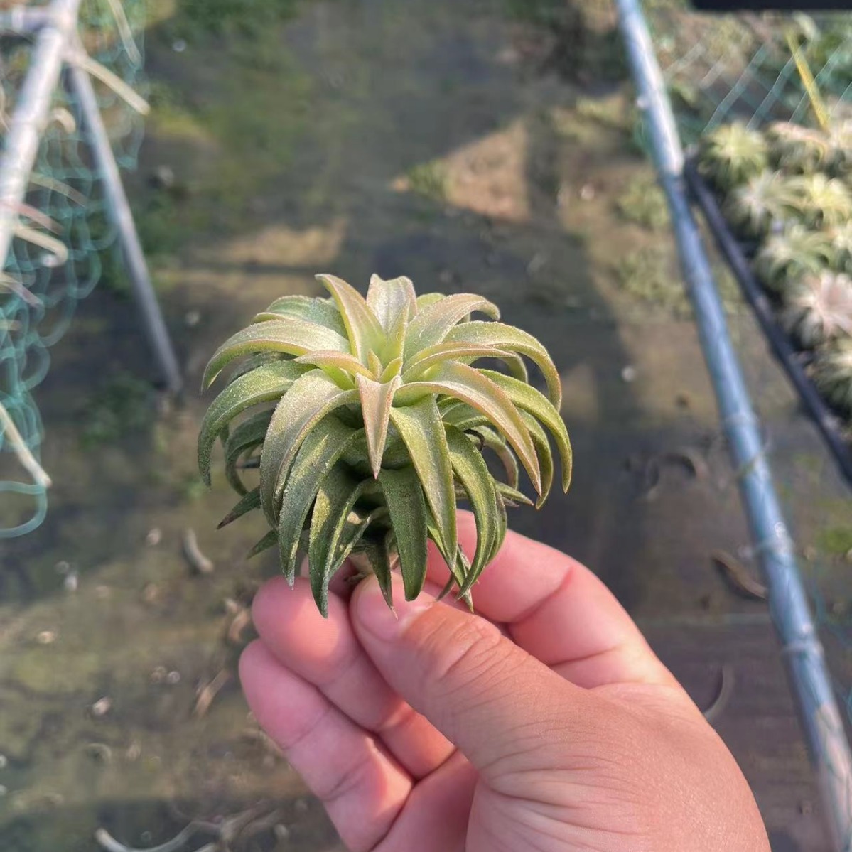 2024-04-24 04:25:18.jpg