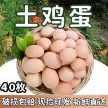土鸡蛋湖北鸡蛋新鲜农家散养50枚40枚20枚乌鸡蛋绿壳青皮鸡蛋跨境