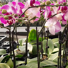 ?�����m֧�܊A�ӹ̶�����������F�z�������@ˇ����ֲ��֧��