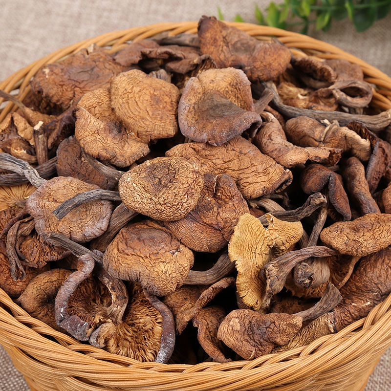 Hazel mushroom dried food Northeast specialty Mushroom mushrooms Rootless chick Mushrooms Ding