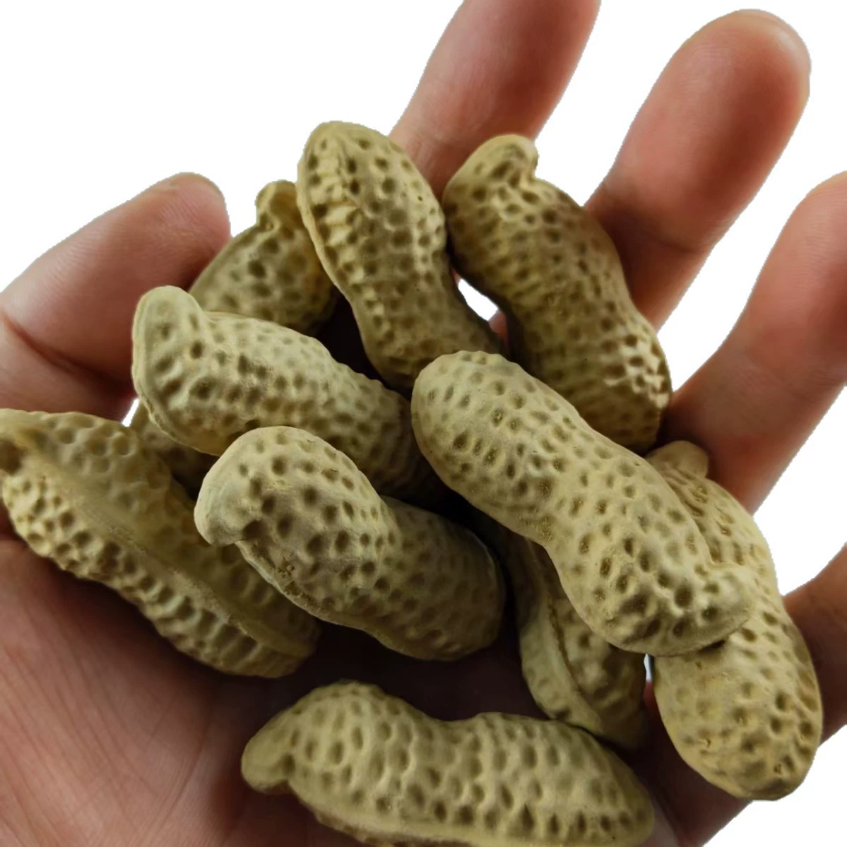 Purple sand bionic small peanut section mud peanut Yixing purple sand tea pet sculpture ornaments tea play decoration home decoration