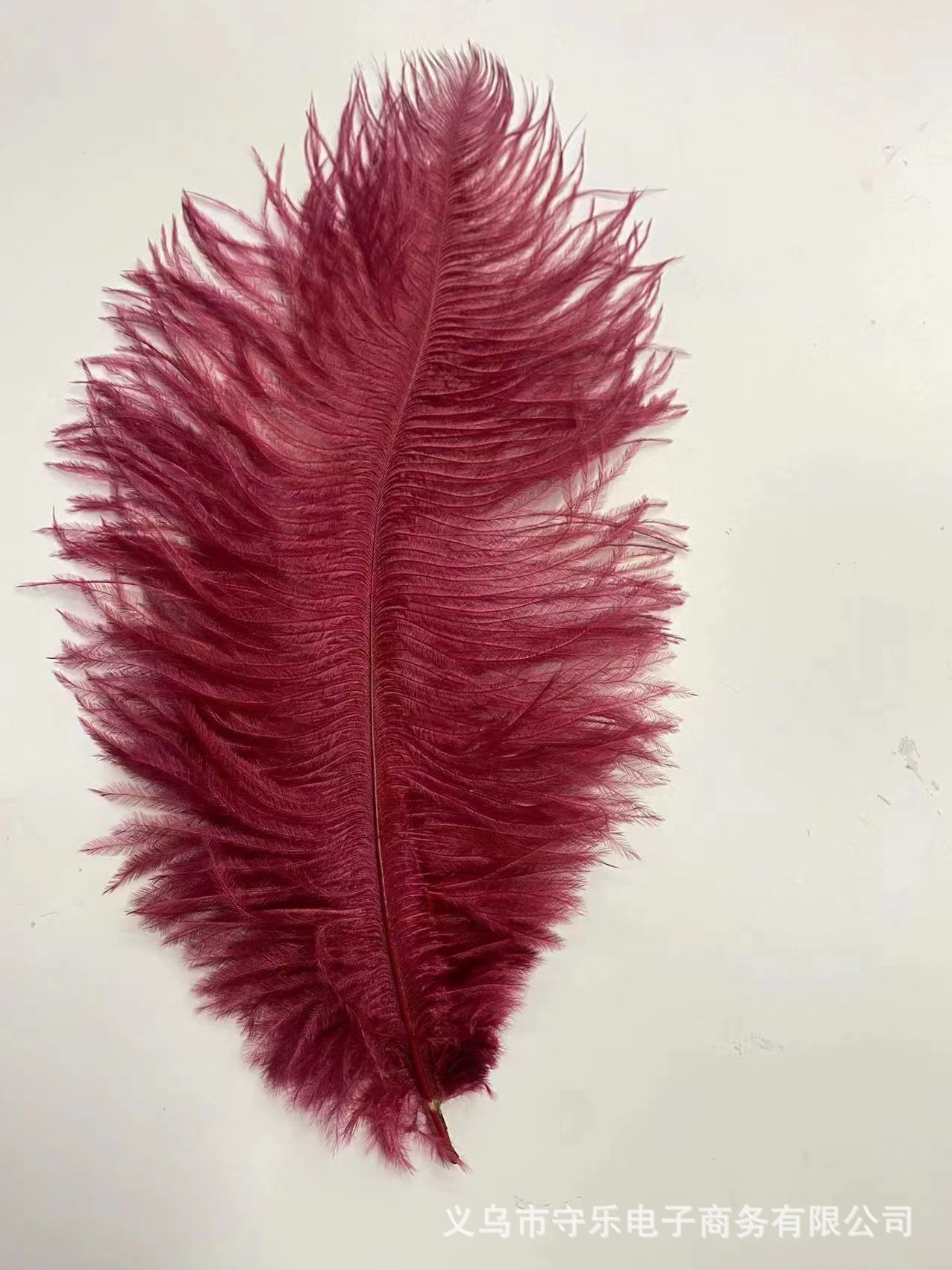 微信图片_20221127230001