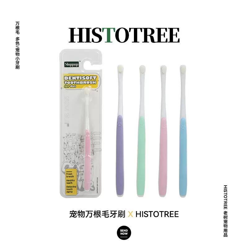 猫牙刷猫咪狗狗口腔清洁小头狗牙刷塑料软毛宠物牙刷宠物用品批发