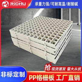 江苏日初PP格栅板方形塑料网格板耐酸碱喷淋塔填料层支撑格栅板
