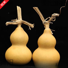 С���J��Ȼ���J��������С���J������J�[�����J���