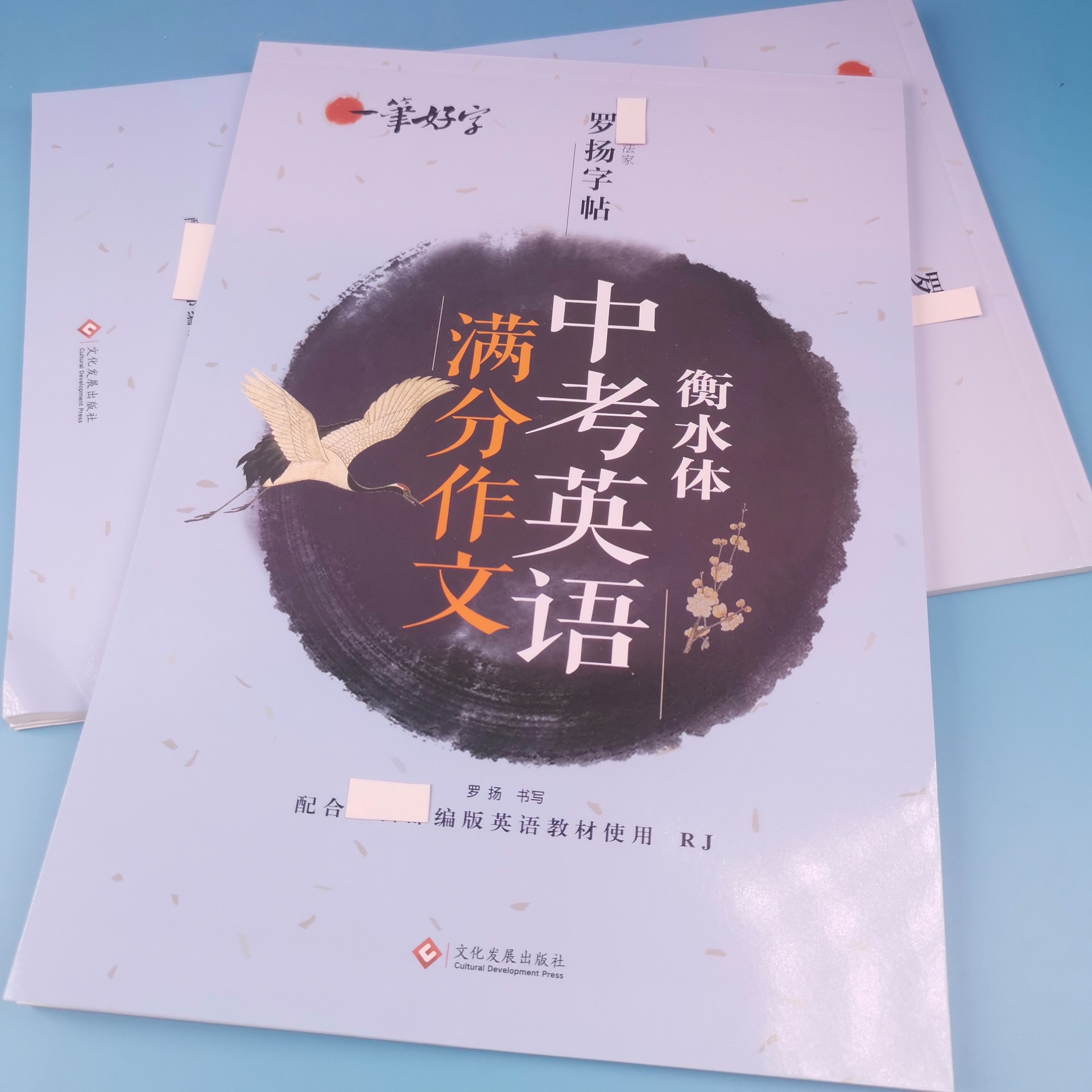 罗扬中考作文 (1).jpg