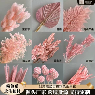 粉色系永生花材婚礼布景新年家居装饰迎客豆吊米龙须草蓬莱松年宵