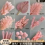 迎客粉色系新年家居蓬莱松