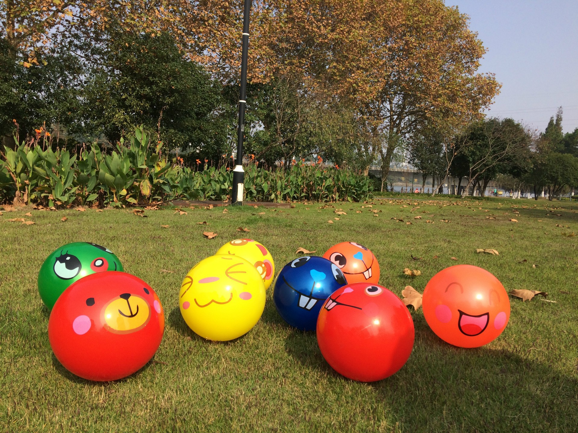 4541242730_281682906