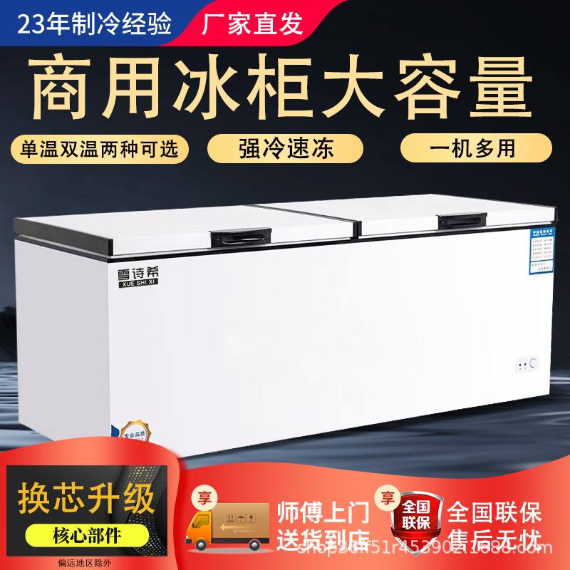 Congelador Xueshixi Congelador comercial horizontal de gran capacidad refrigerado Congelador grande de doble uso Refrigerador de temperatura simple y doble
