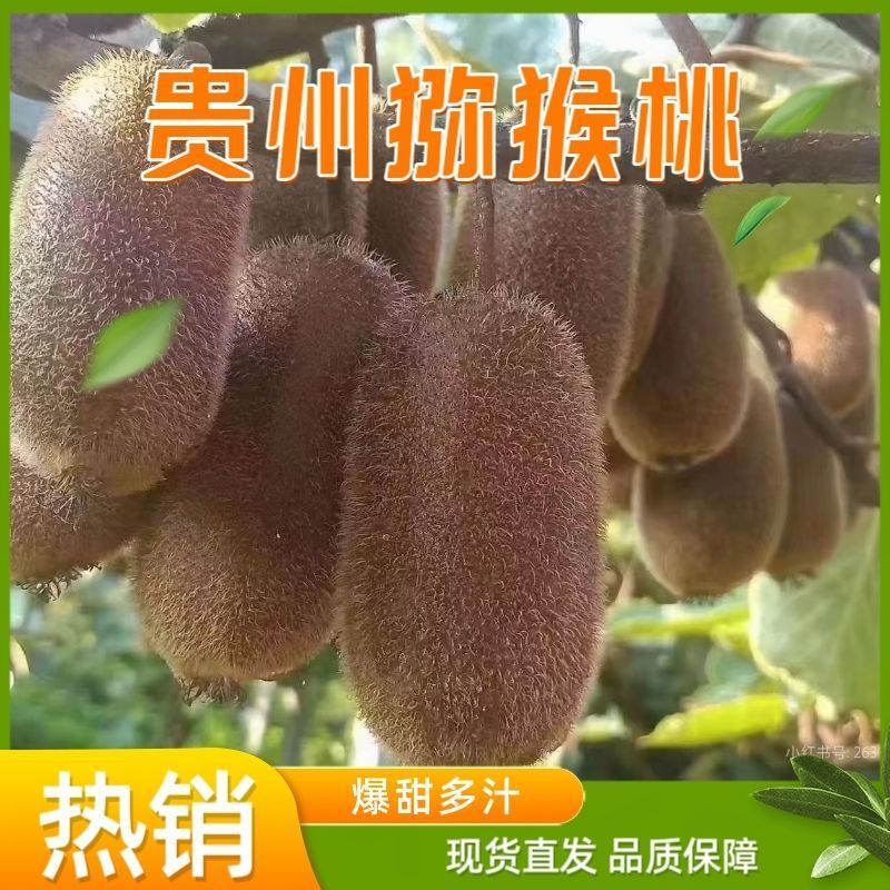 纯天然现摘猕猴桃新鲜绿心当季奇异果整箱孕妇水果现发一整箱