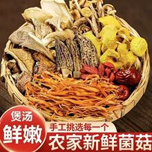 药膳汤料包加工 小炖汤干货食材 滋补养生药膳菌菇汤料一件起批