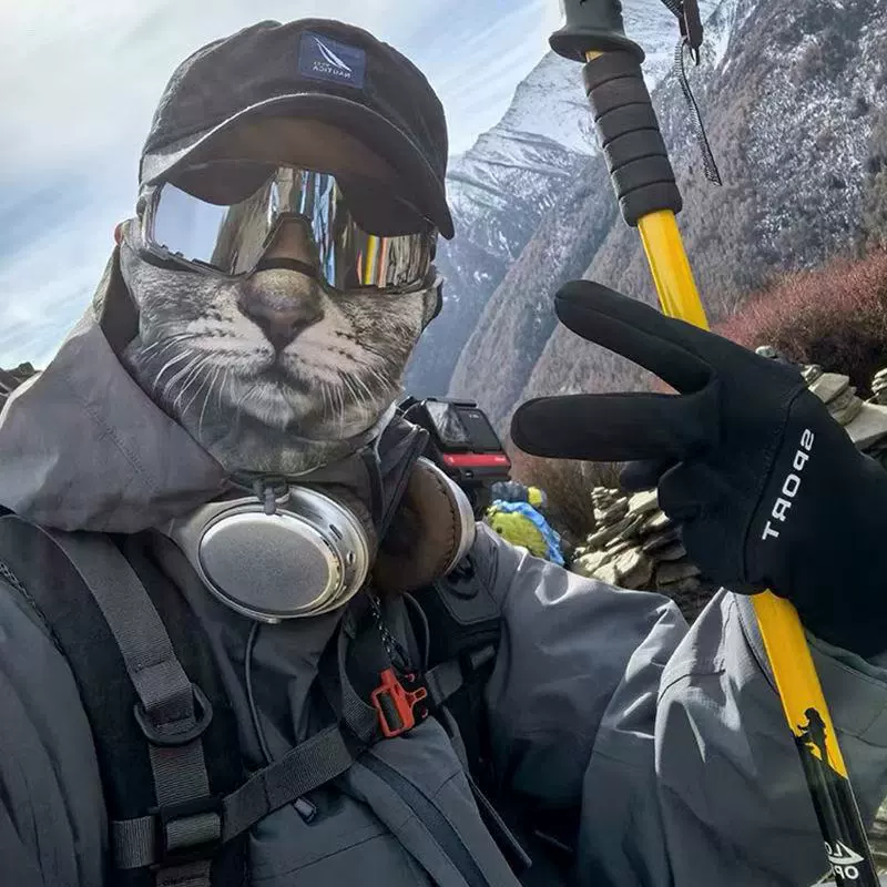 Висячие уши верховой наездник маска для животных солнцезащитный крем УФ-защита от ветра Поллицо оранжевый кошачий полотенце для лица котенка треугольное полотенце