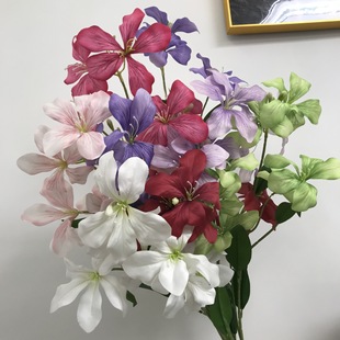 ���滨�����m�������G��Y�Ƶ����l���滨�߼��б���������üٻ�