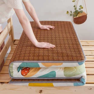 Student dormitory mattress winter and summer dual-use thickened double-sided rattan mat feather velvet folding home mattress wholesale