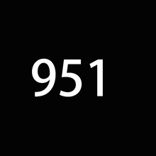 2951
