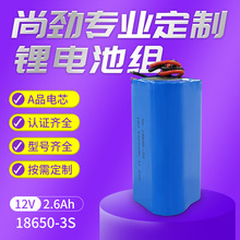 工厂按需生产摄像头电池组 12V2600mah动力型A品18650筋膜枪电池