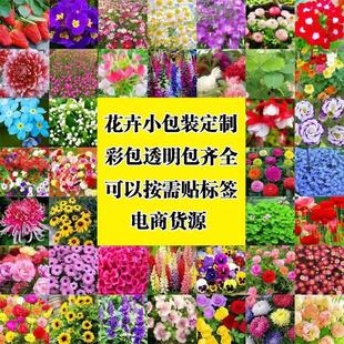 Wholesale Home Gardening Flower Seeds Small Package Pyrethrum Aster Flower Seeds Platycodon Bowl Lotus Sunflower E-Commerce Supply