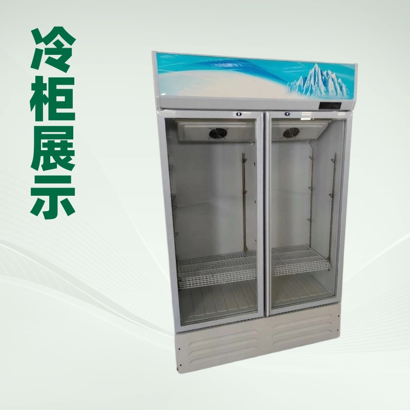 Double-Door Air-Cooled Frost-Free Display Cabinet Freezer Commercial Beverage Cabinet Beer Cabinet Fresh-Keeping Cabinet Refrigeration