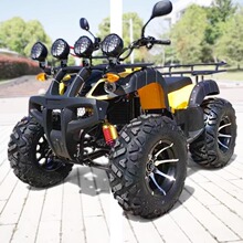ɳ̲��125�����ĳ�̻���ԽҰ����Խ�����Ӻ�̥Ұ��ũ����������