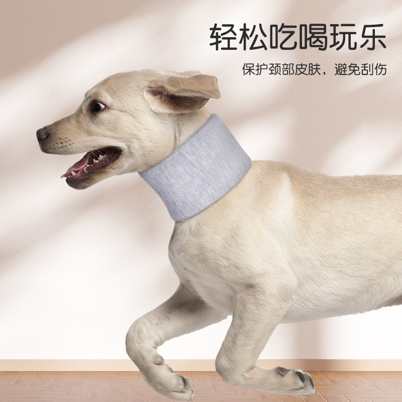 O1CN019wJHao1PV3h9F9dvp_!!2214