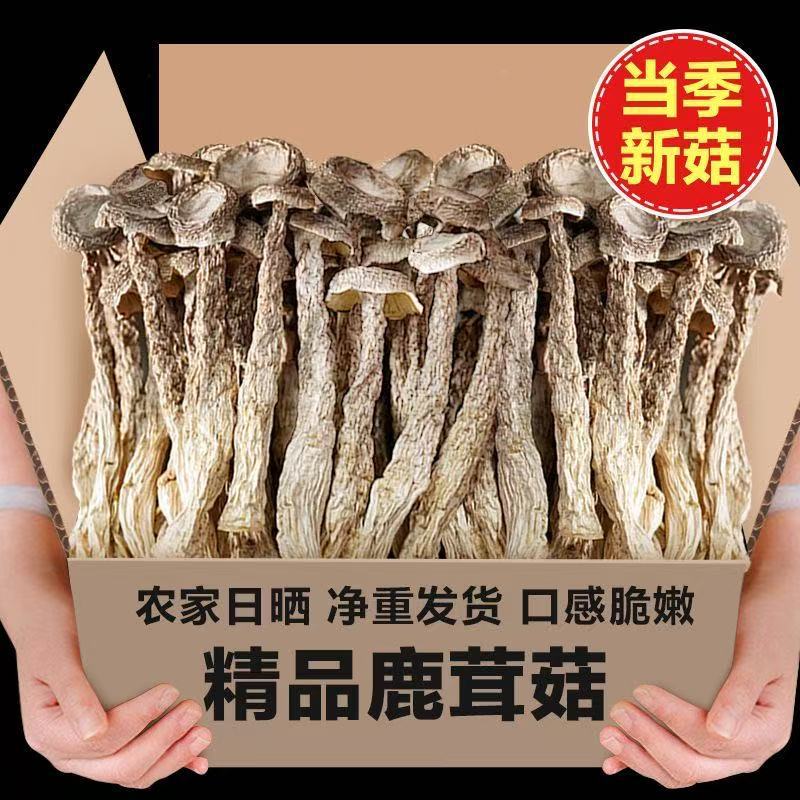 干货鹿茸菇新鲜菌菇鹿茸菇干货香菇无熏硫鹿茸菌鹿耳菇煲汤虫草