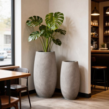 sɫV໨͏d̨GֲlؔBˮ໨