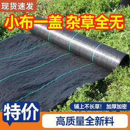 严选批发pp防草布透气除草布大棚园艺地布防草地布果园地布