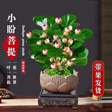 С������䎧���辰ֲ���ļ������҃����ԶU��[���k���ҿ͏d����