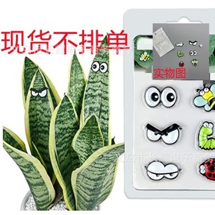 ���R�d��ƷPlant magnet gift�ɐ�ֲ���~�b�ֲ����F�۾���ˇƷ